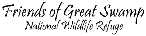 Banner Text